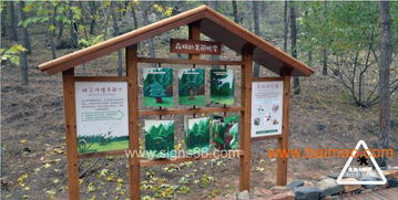 色彩与材质的搭配