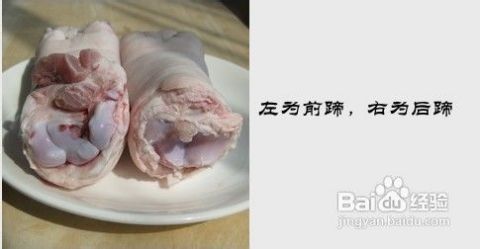 副猪链球菌、丹毒、支原体关节炎分别是什么病？