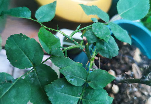 排水检查，不Neng马虎