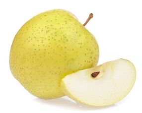 北京气候种植柚子的抗寒品种选择