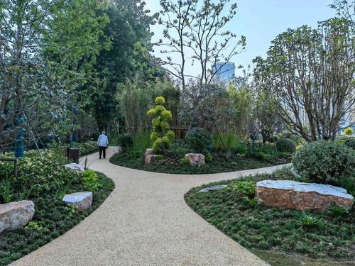 植物芳香：自然的疗愈