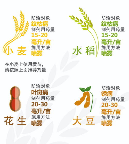 先正达爱苗对水稻纹枯病有效吗？揭秘真相！