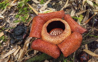 杭州民宿主的花花世界