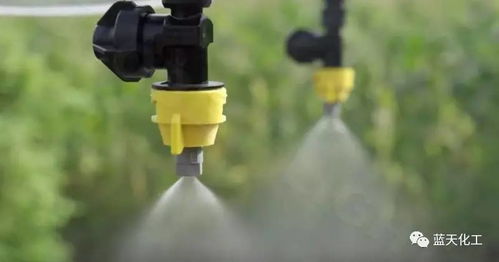 40度高温对农药效果的影响