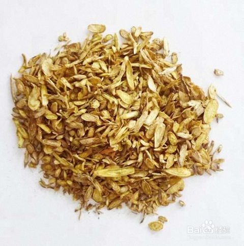 焦栀子，清热燥湿