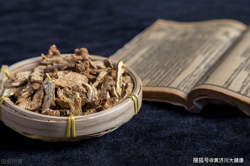 苍术有什么功效？中医认为它能祛湿健脾吗