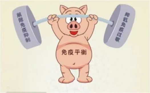 如何处理从假死小猪到药物过敏的急救步骤？