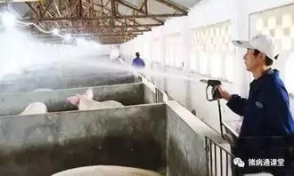 消毒剂浓度与作用时长影响猪场杀菌效果