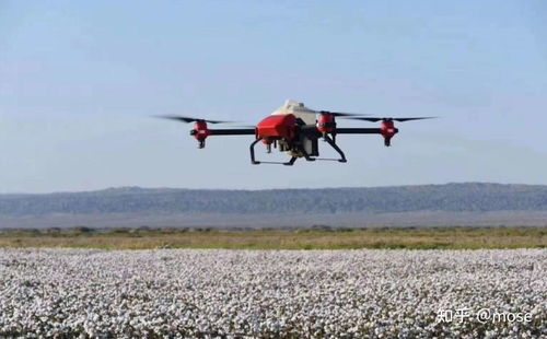 三、 性价比之选