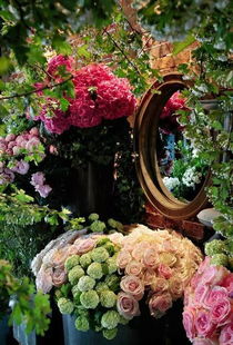 “秘籍解锁！轻松种植爆款花卉——苦瓜变花艺新宠！”