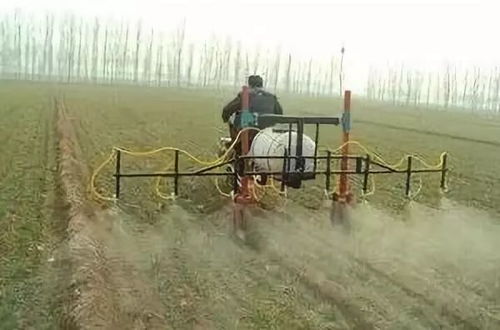 小麦除草剂与地下害虫的较量：Neng否和平共处？