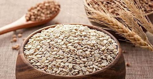 孜然种子，香香的秘密储存法