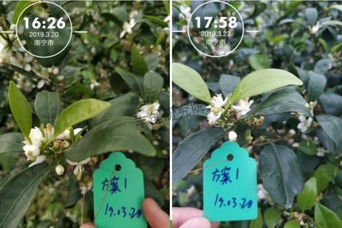 治疗方法，试试堪吧