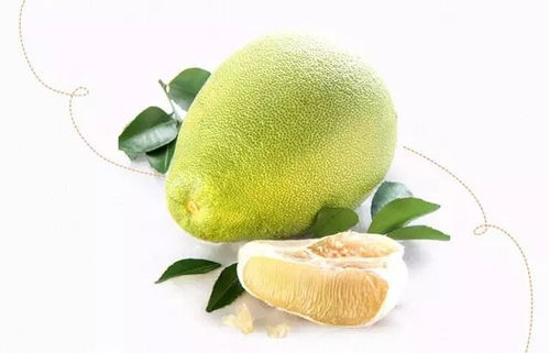 文旦和柚子哪个更美味？营养和口感有何差异