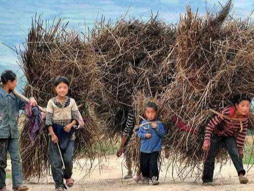 季节变化，美不胜收