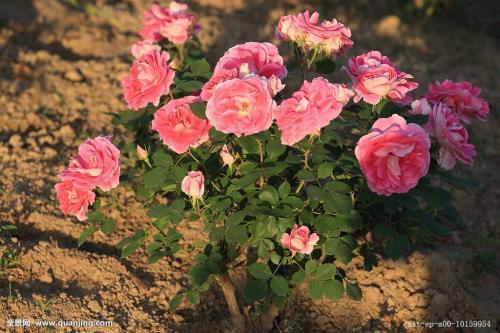 4. 通风透气要保证