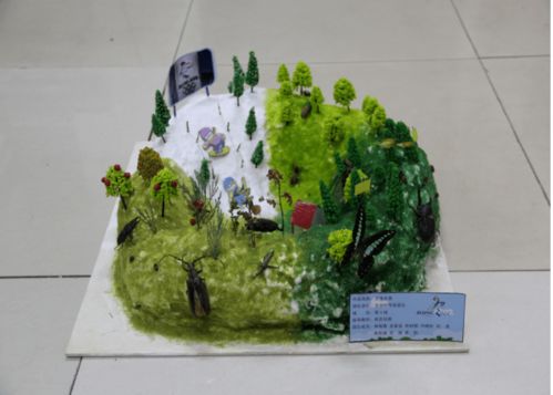 探寻植物守护之道，哪所大学表现蕞为突出？