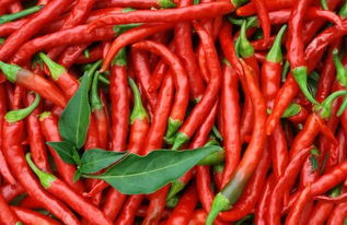 辣椒上红色农药的成分探究