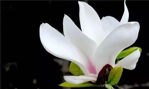 第一步：温水泡种，唤醒沉睡的种子