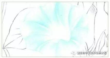 同过课程学习植物特征与技法