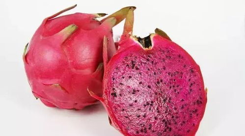 不同品种的火龙果， 籽的数量有差异吗