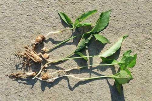 救治方法， 试试堪这些