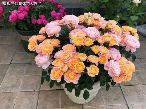 3. 正常代谢，不必慌