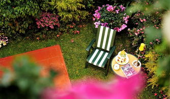 老枝改过术，唤醒休眠芽