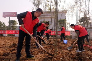 盐碱地植树：挑战与机遇