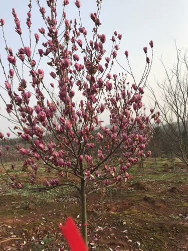 水分大揭秘:滋润的秘诀