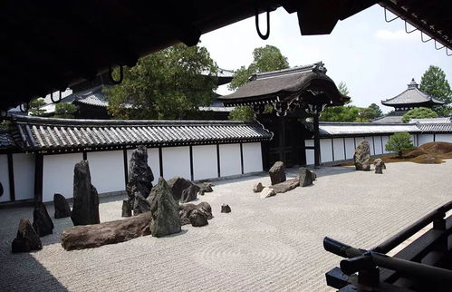 园林中的树， 那些美得让人心醉的形态