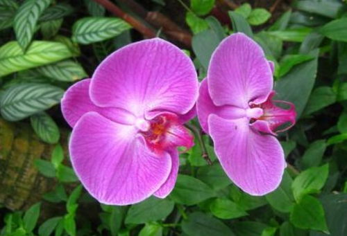 形状，那也是学问