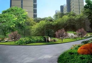 小区道路与绿化， 咱们业主的共同家园