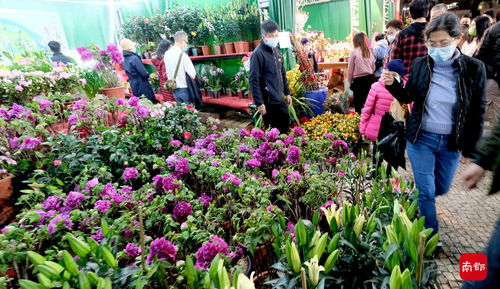 市场内花卉琳琅满目， 香气扑鼻