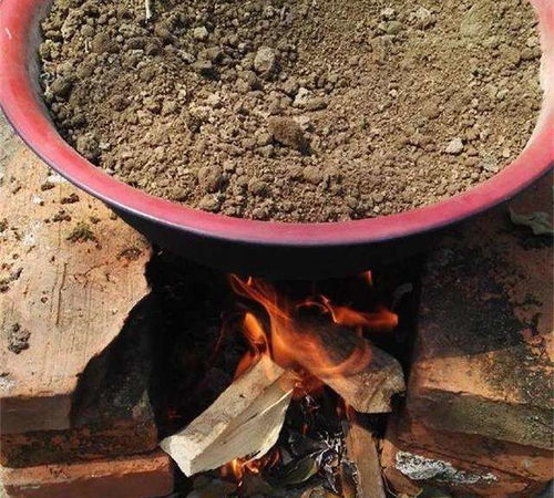 “土壤消毒，如何彻底消除病菌隐患