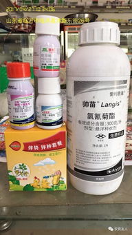 品牌一：某某种衣剂