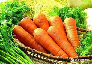 5. 胡萝卜：小人参的美誉
