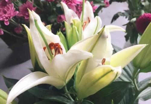 修剪工具，得选好