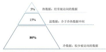 乙女心养殖指南中，如何根据不同季节调整乙女心的光照和浇水频率