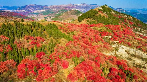 长春秋天的风景区， 自然风光达巅峰