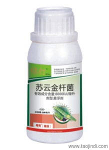 二、 意外的发现