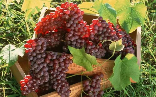 使用方法，要牢记