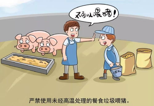 非洲猪瘟研究进展如何？防控措施有哪些挑战
