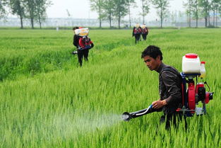 一瓶一码：未来农药发展的趋势