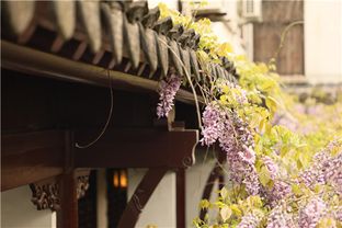 各方说法， 我快信不过了