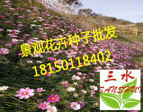 东北的冬天草儿怎么活？