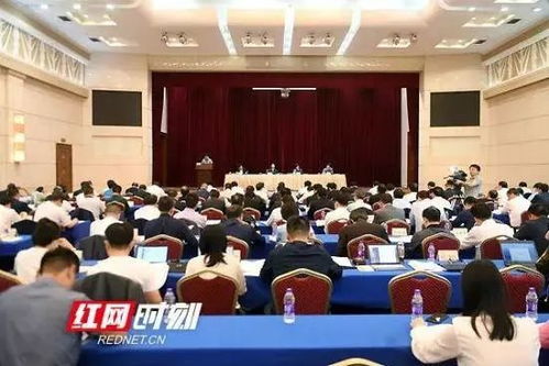 湖南省5个100项目中，最大的饲料市场具体位于哪个区域？