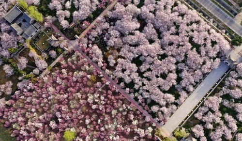 绿色生态，产业发展