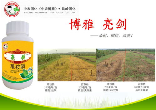 草铵膦：内吸性差， 根系伤害小