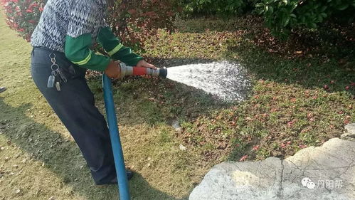 浇水与养护， 就像呵护孩子的成长